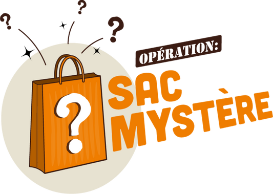 Sac Mystery 10e